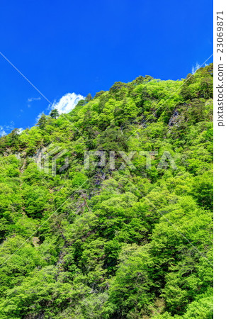 Azuma峽谷太平洋岩石覆蓋著新鮮的綠色 Azuma峽谷太平洋岩石覆蓋著新鮮的綠色 23069871