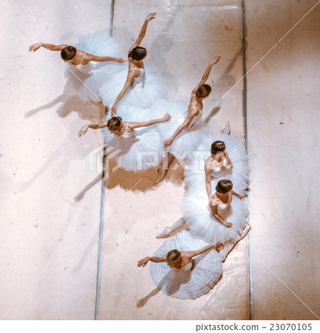 The seven ballerinas on floor 23070105