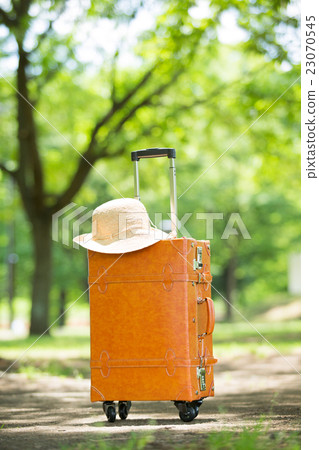 Fresh green and suitcase 23070545