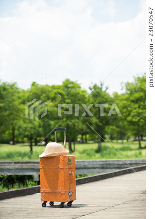 Fresh green and suitcase 23070547