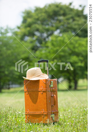 Fresh green and suitcase Fresh green and suitcase 23070554