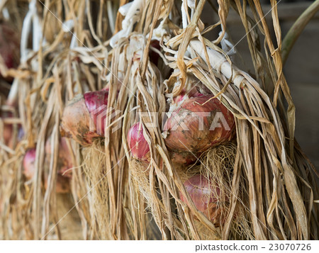 Dried onions onion 23070726