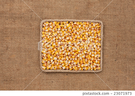 Frame made of rope with corn grains on sackcloth Frame made of rope with corn grains on sackcloth 23071973