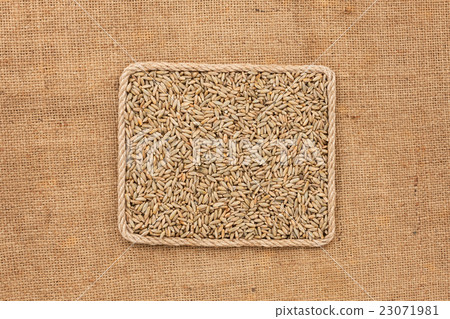 Frame made of rope with rye grains on sackcloth Frame made of rope with rye grains on sackcloth 23071981