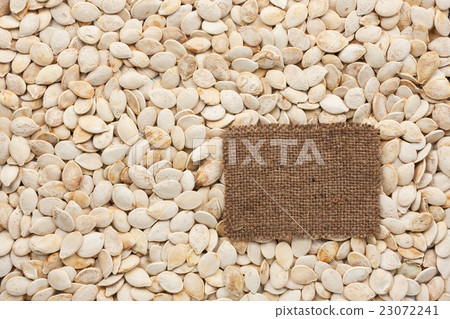 Tag made of burlap lies against pumpkin seeds Tag made of burlap lies against pumpkin seeds 23072241