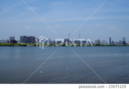 A landscape that the sky tree of a sunny day can be seen far away 23075129