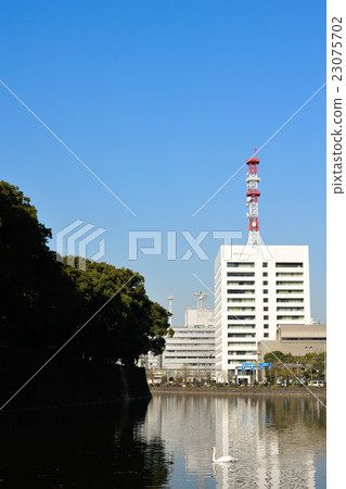 天鵝在大手町 23075702
