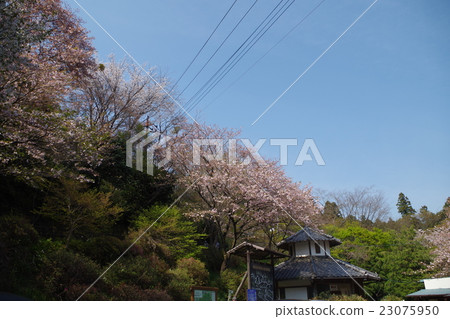 Mount Jiri Mount Jiri 23075950