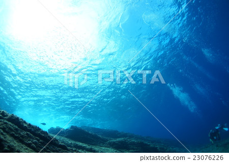 陽光和閃閃發光的稻田 陽光和閃閃發光的稻田 23076226