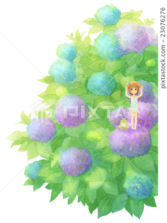 繡球花賓客（垂直混合） 23076276