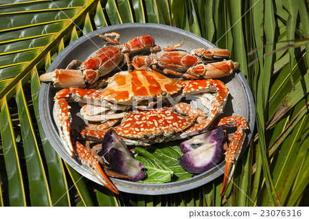 Dish with cooked crabs on the background of palm l Dish with cooked crabs on the background of palm l 23076316