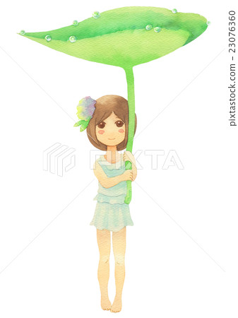 Hydrangea girl (rain) 23076360