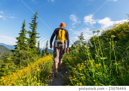 Hike Hike 23076469