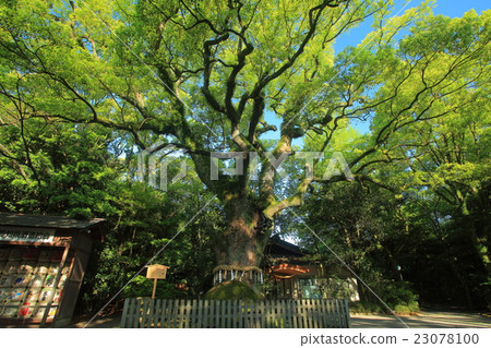 熱田神社的Otasu 熱田神社的Otasu 23078100