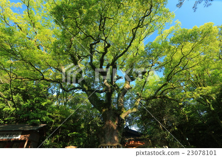 熱田神社的Otasu 熱田神社的Otasu 23078101
