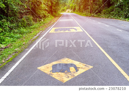 Beware of the elephant warning sign on the road 23078210