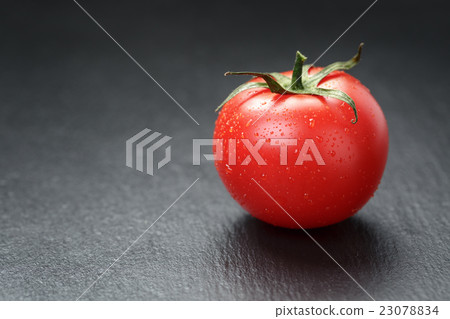 ripe washed tomato on slate background 23078834