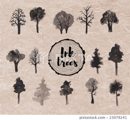 Set of trees hand drawn with ink Set of trees hand drawn with ink 23079241