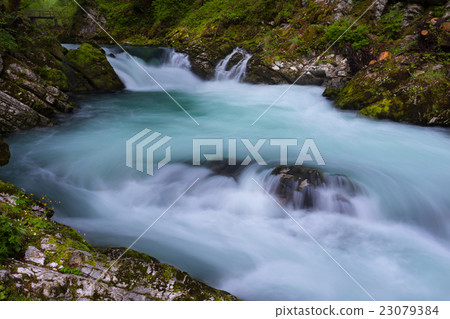 soteska Vintgar in the river Radovna soteska Vintgar in the river Radovna 23079384