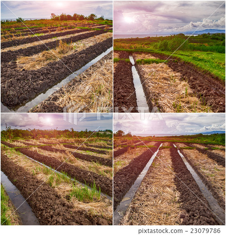 Set Rice Terraces. Set Rice Terraces. 23079786