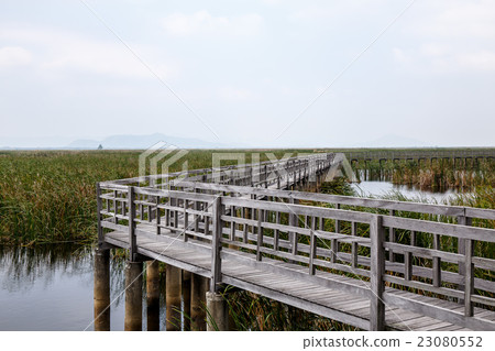 Khao Sam Roi Yod National Park, Thailand. 23080552