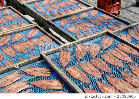 幹咖哩豆 23080600