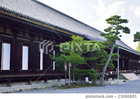 國寶三十三間堂主殿 23080803