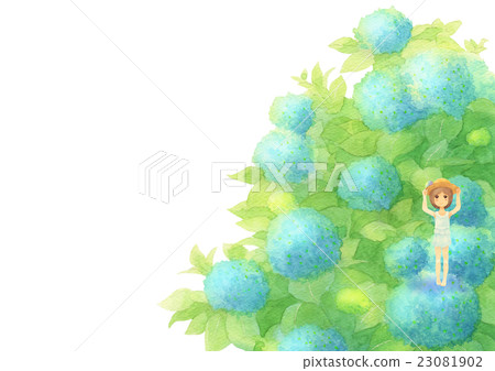 繡球花和女孩側身（晴朗的藍色） 23081902