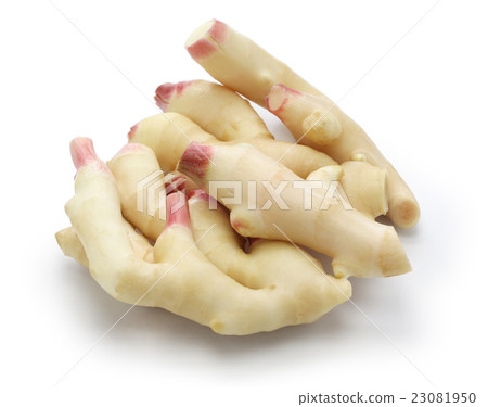 新姜 23081950