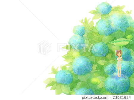 繡球花和女孩（雨藍） 23081954