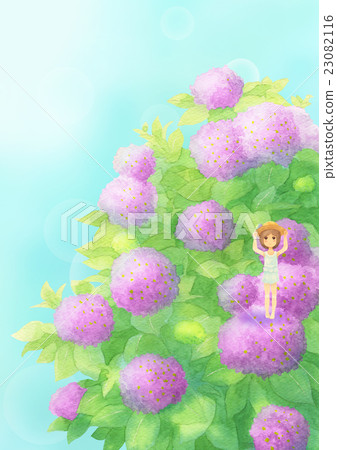 繡球花和女孩垂直（晴朗的粉紅色） 23082116
