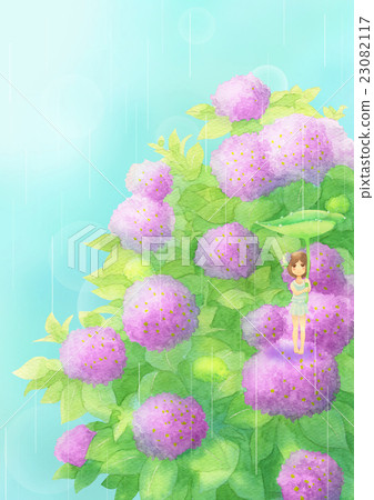 繡球花和女孩垂直（雨粉紅色） 23082117