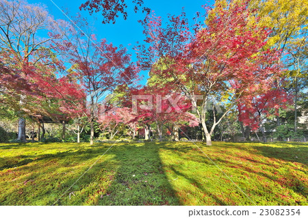 Kinshu的Seonan宮殿 Kinshu的Seonan宮殿 23082354