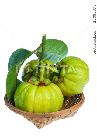 Fresh garcinia cambogia on wood basket. Isolated. 23082379