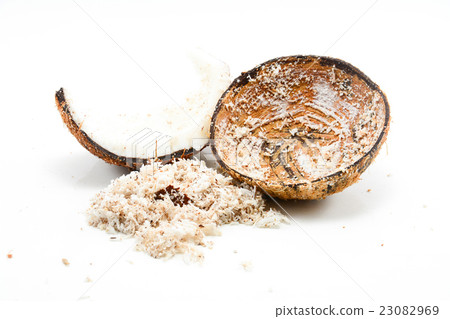 Coconut  Isolated on white background 23082969