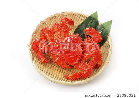 Hanasaku蟹 23083021