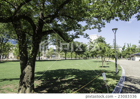 Nagano Shiki no Mori Park 23083336