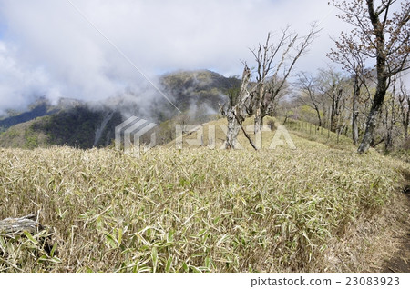 A rainy way to go sunny A rainy way to go sunny 23083923