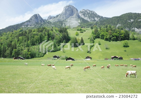 Swiss landscape 23084272