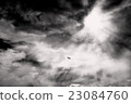 Eagle dances in the light beam 23084760