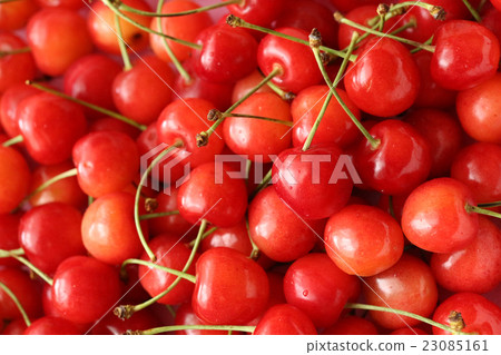 Cherry Cherry 23085161