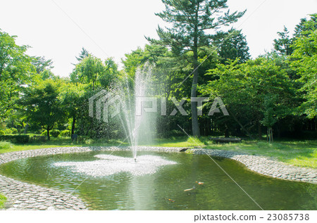 Fountain of the forest 23085738