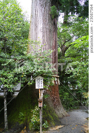 奈良·牛河頂級神社中間公司Sho Ougi 奈良·牛河頂級神社中間公司Sho Ougi 23087564