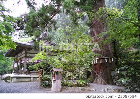 奈良·牛河神社公司離開Oosugi和崇拜者 奈良·牛河神社公司離開Oosugi和崇拜者 23087584