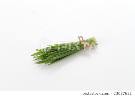Wheatgrass image 23087651