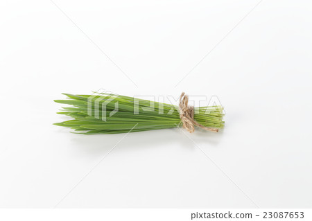 Wheatgrass image 23087653