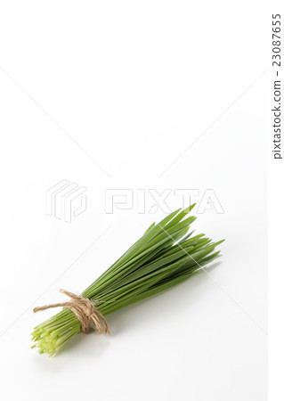 小麥草圖像 23087655