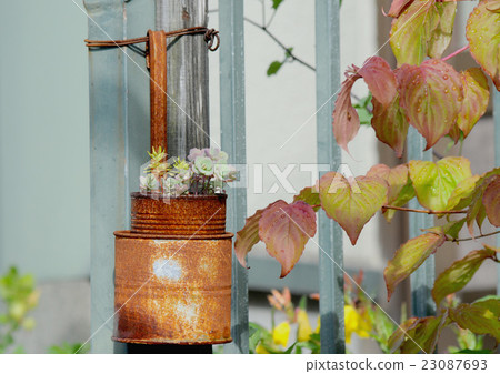 In the garden In the garden 23087693