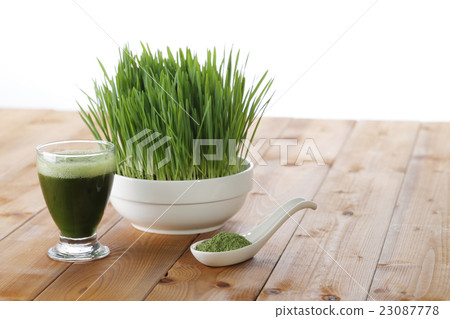 Wheatgrass juice & powder image Wheatgrass juice & powder image 23087778