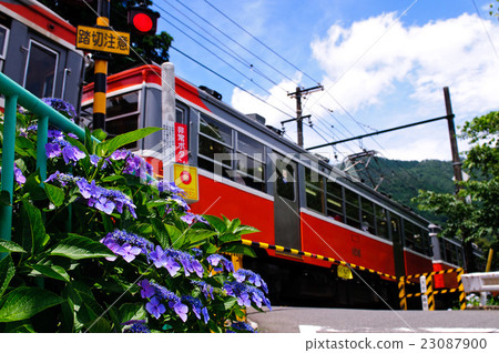 夏天天空八仙花屬和山火車 夏天天空八仙花屬和山火車 23087900